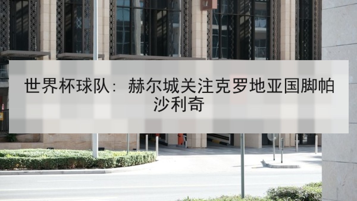 世界杯球队: 赫尔城关注克罗地亚国脚帕沙利奇