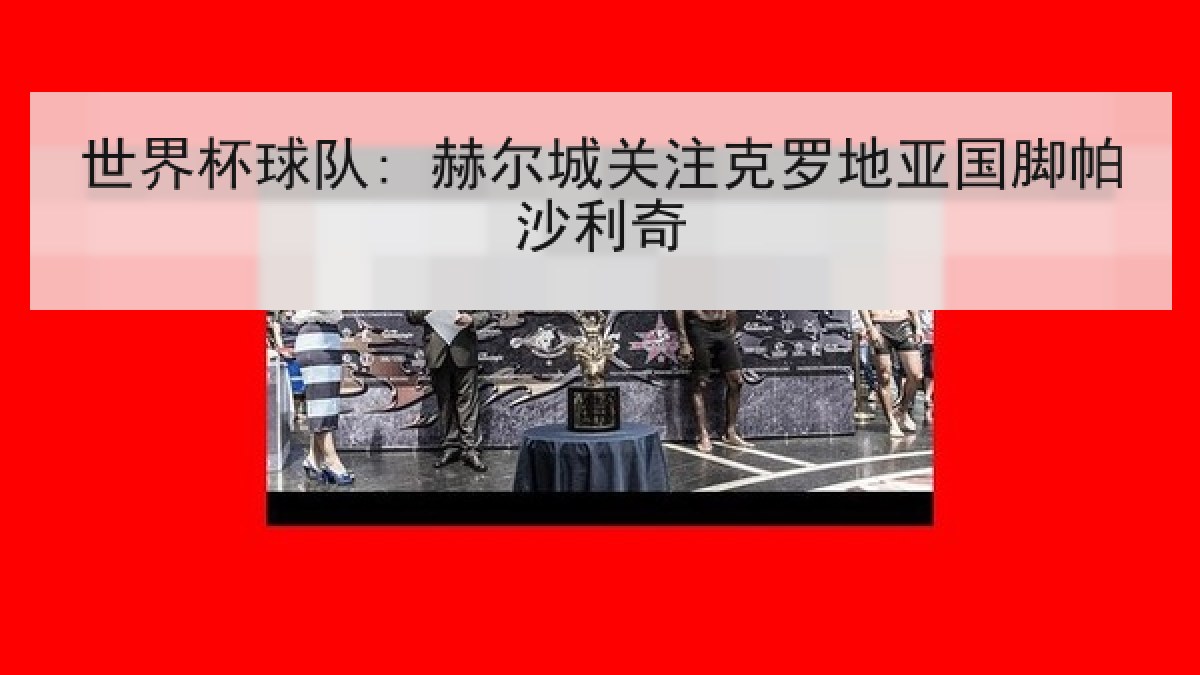 世界杯球队: 赫尔城关注克罗地亚国脚帕沙利奇