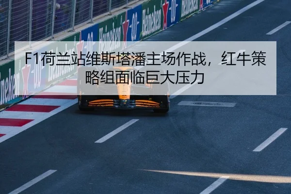 he-lan-zhan-wei-si-ta-pan-zhu-chang-zuo-zhan-hong-niu-ce-lve-zu-mian-lin-ju-da-ya-li-2-934.jpg