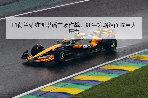 he-lan-zhan-wei-si-ta-pan-zhu-chang-zuo-zhan-hong-niu-ce-lve-zu-mian-lin-ju-da-ya-li-3-355.jpg