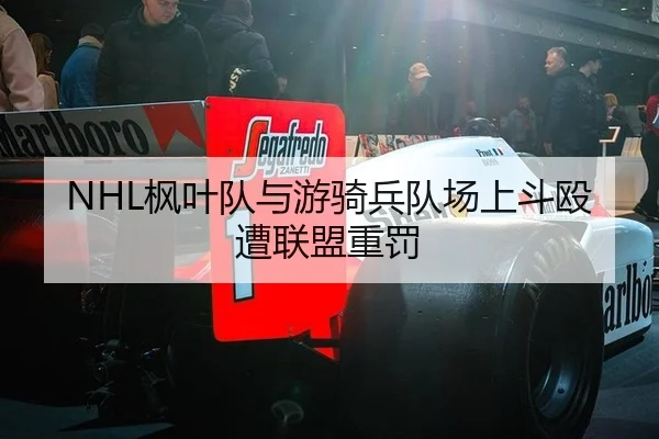 NHL枫叶队与游骑兵队场上斗殴遭联盟重罚