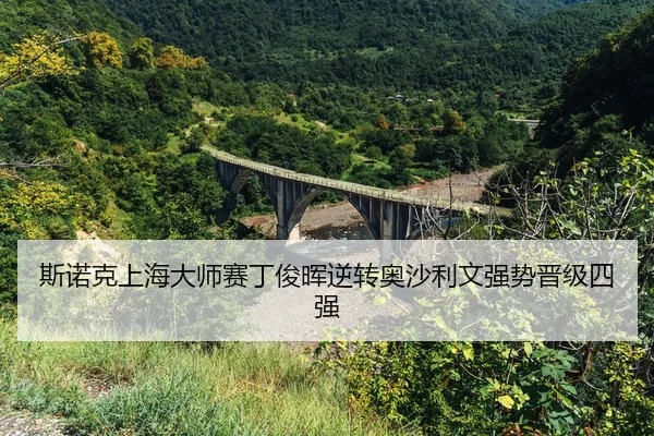 si-nuo-ke-shang-hai-da-shi-sai-ding-jun-hui-ni-zhuan-ao-sha-li-wen-qiang-shi-jin-ji-si-qiang-2-340.jpg