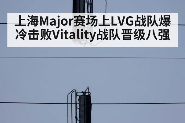 上海Major赛场上LVG战队爆冷击败Vitality战队晋级八强