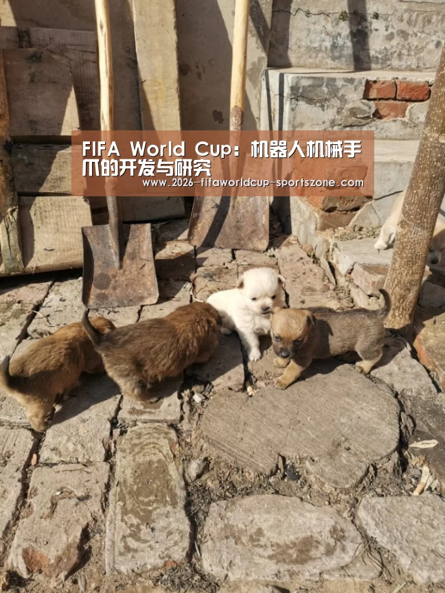  世界杯官方入口