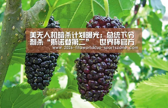 美无人机暗杀计划曝光:总统下令刺杀“斯诺登第二”_ 世界杯官方入口(图4) 世界杯综合娱乐平台